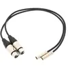Image de Blackmagic MiniXLR (0.50 m, Câbles XLR), Câble audio