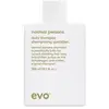Image de EVO Shampooing Quotidien Normal Persons 300 ml