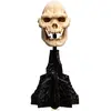 Image de Weta Workshop Seigneur des Anneaux Mini Statue Crâne de Lurtz 14 cm