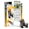 Image de EUGY 3D MODEL: WILD DIER / GORILLA