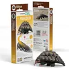 Image de Eugy - pangolin   eugy 3d
