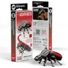 Image de Eugy - coléoptère goliath   eugy 3d