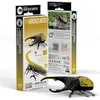 Image de Eugy - coléoptère hercule   eugy 3d