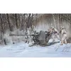 Image de Flak 37 (german 3.7cm Anti-aircraft Gun) - 1:35e - Trumpeter