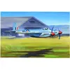 Image de De Havilland Hornet F.1 - 1:48e - Trumpeter