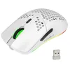 Image de HXSJ T66 RGB 2.4G souris de jeu sans fil RGB éclairage de charge souris avec conception ergonomique DPI réglable -2