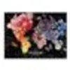 Image de Wendy Gold Full Bloom