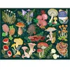 Image de Puzzle 1000 pièces : Le Monde des Champignons