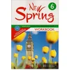 Image de New Spring anglais 6e A1 : workbook en occasion ou reconditionné