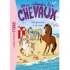 Image de Mes amis les chevaux 14 - Une journée à la mer Hachette Livre (Auteur), Natacha Godeau (Adapté), Sophie Thalmann (Présentateur)