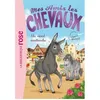 Image de Mes amis les chevaux 04 - Un rival inattendu Hachette Livre (Auteur), Natacha Godeau (Adapté), Sophie Thalmann (Présentateur)