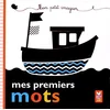 Image de Mes premiers mots en occasion ou reconditionné