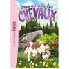 Image de Mes amis les chevaux 08 - Le loup solitaire Hachette Livre (Auteur), Natacha Godeau (Adapté), Sophie Thalmann (Présentateur)