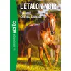 Image de L'étalon noir Tome 10 : Flamme cheval sauvage