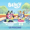 Image de Bluey. La piscine en occasion ou reconditionné