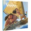 Image de Vaiana : la légende du bout du monde en occasion ou reconditionné