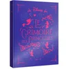 Image de Le grimoire des princesses en occasion ou reconditionné