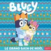 Image de Bluey : Le grand bain de Noël