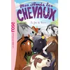 Image de Mes amis les chevaux. Vol. 50. La fête du haras en occasion ou reconditionné