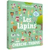 Image de DISNEY BABY - Mon Cherche et Trouve - Les Lapins - Plus de 90 éléments à trouver Collectif (Auteur)