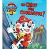 Image de La Pat'Patrouille : Le Film - Mission Dino : Un Chiot Bien Courageux !