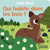 Image de Qui habite dans les bois ? Sonia Baretti (Illustration)