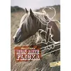 Image de Mon amie Flicka Mary O'hara (Auteur), Hélène Claireau (Traduction)
