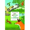 Image de Une journée à la campagne en occasion ou reconditionné