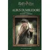 Image de Albus Dumbledore Collectif (Auteur), Céline Grimault (Traduction)