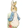 Image de Bonjour, Pierre Lapin ! Beatrix Potter (Auteur)