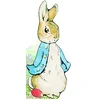 Image de Bonjour Pierre Lapin ! en occasion ou reconditionné