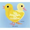 Image de Un poussin, un caneton Sébastien Pelon (Auteur), Sébastien Pelon (Illustration), Anne Fronsacq (Auteur)