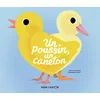 Image de Un poussin, un caneton en occasion ou reconditionné