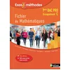 Image de Fichier de mathématiques, terminale bac pro : groupement C en occasion ou reconditionné