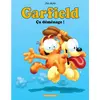 Image de garfield tome 26 - ca déménage !