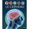 Image de Le cerveau