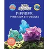 Image de Pierres, minéraux et fossiles Damien Vallot (Auteur)