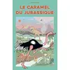 Image de Le caramel du Jurassique en occasion ou reconditionné