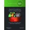 Image de Segment postérieur neuro-ophtalmologie. Volume 3 - coffret Ophtalmologie pédiatrique et strabismes François Audren (Auteur), Florence Metge-Galatoire (Auteur), Georges Caputo (Auteur)