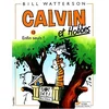 Image de Calvin et Hobbes. Vol. 13. Enfin seuls ! en occasion ou reconditionné