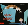 Image de Calvin et Hobbes original tome 9