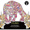 Image de Félins : mon carnet de coloriages et pensées 100 % bonne humeur ! en occasion ou reconditionné