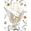 Image de me chamane, un livre à colorier