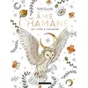 Image de me chamane, un livre à colorier Wild Amanda (Auteur)