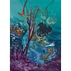 Image de Luuna tome 9