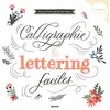 Image de Calligraphie & lettering faciles en occasion ou reconditionné