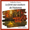 Image de La forêt aux couleurs de l'automne