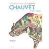 Image de A la découverte de la grotte Chauvet-Pont d'Arc en occasion ou reconditionné