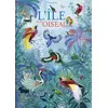 Image de l'île aux oiseaux