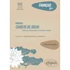 Image de Rimbaud, Cahiers de Douai, 22 poèmes de Première soirée à Ma bohème (fantaisie) : parcours émancipations créatrices : français 1re, bac nouveau programme en occasion ou reconditionné
